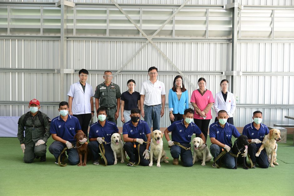 จุฬาฯ วิจัยสำเร็จ “สุนัขดมกลิ่นหาผู้ติดเชื้อโควิด” ครั้งแรกในประเทศไทย