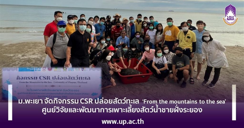 ม.พะเยา จัดกิจกรรม CSR ปล่อยสัตว์ทะเล ‘From the mountains to the sea’ ศูนย์วิจัยและพัฒนาการเพาะเลี้ยงสัตว์น้ำชายฝั่งระยอง