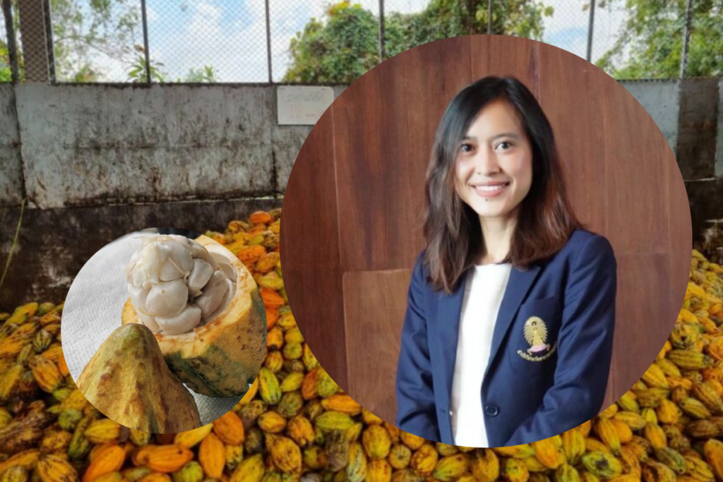 Chula’s “Innovation Center for Research and Development of Sustainable Thai Cocoa” – Thailand’s Solution to Cocoa Price Crisis